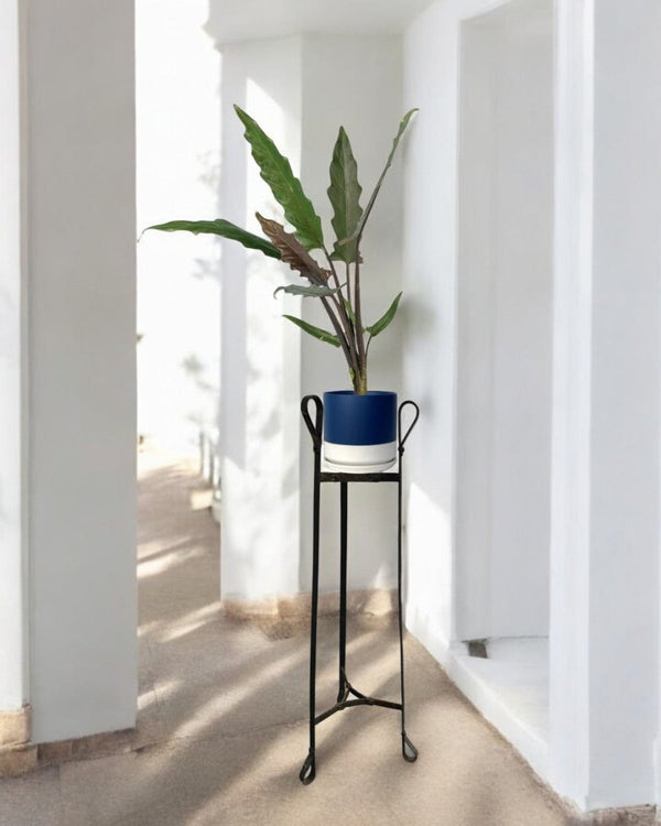 Second Chance: Rustic Plant Stand Only (no pot) - Pots - POTS - SECO - 6841 - Tumbleweed Plants - Online Plant Delivery Singapore