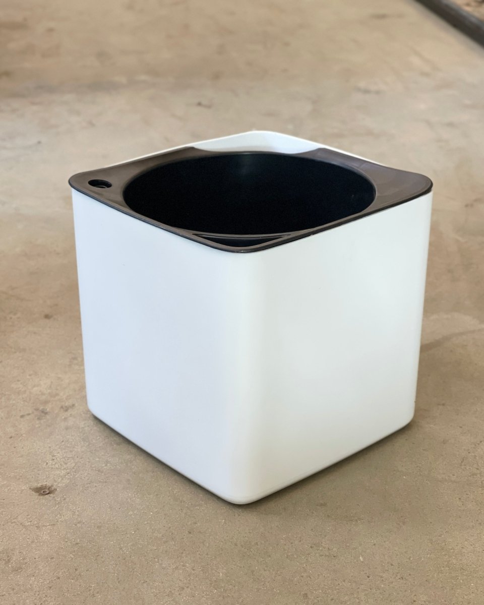 Second Chance: Self Watering Planter White - Pot - Tumbleweed Plants - Online Plant Delivery Singapore