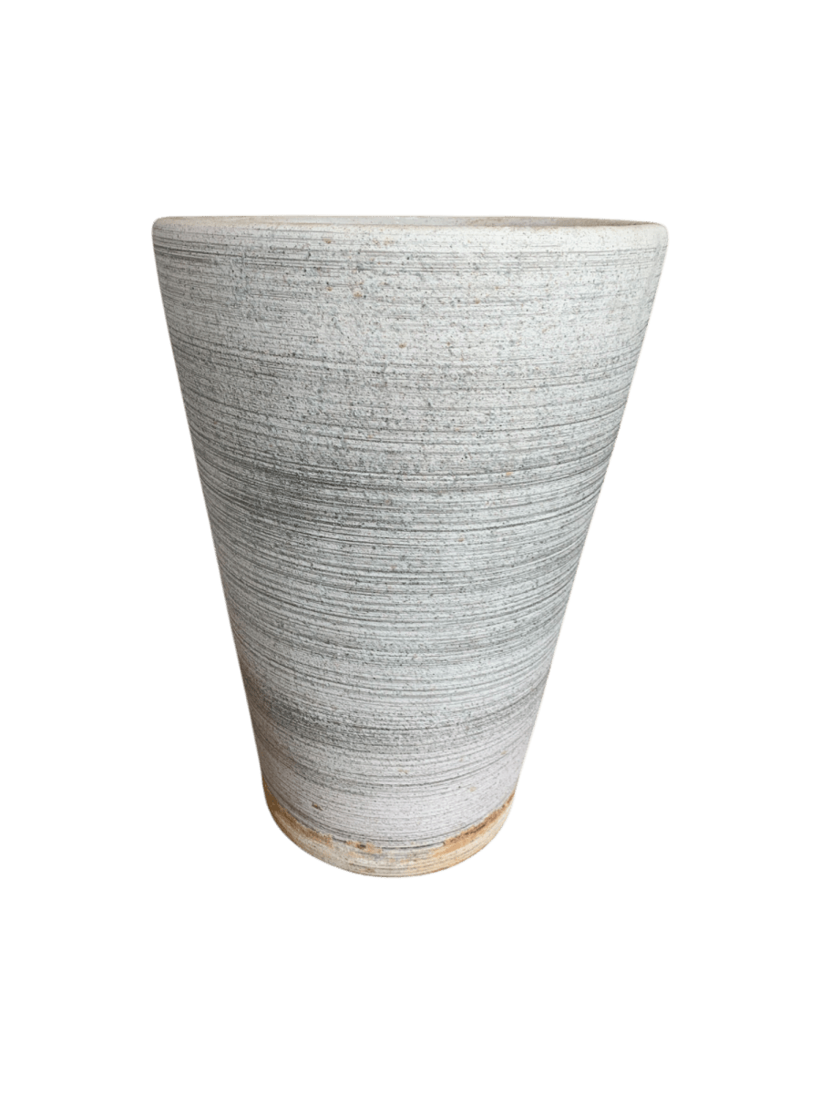 Second Chance: Stone Cone FREE assorted plant - Pots - POT - SECO - CM - 5459 - Tumbleweed Plants - Online Plant Delivery Singapore