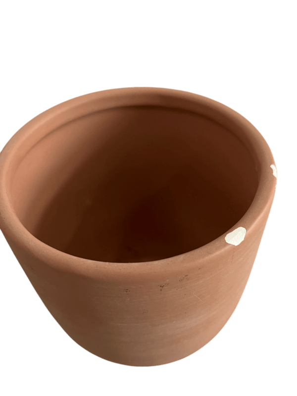 Second Chance: Terra Bliss Pot FREE assorted plant - Pots - POTS - SECO - 6830 - Tumbleweed Plants - Online Plant Delivery Singapore