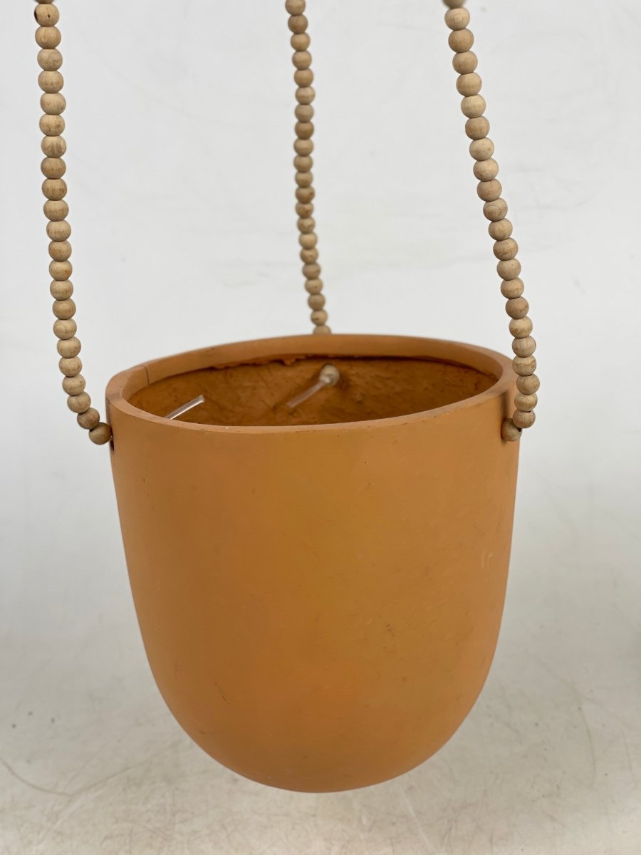 Second Chance: Ungasan Planters - Orange - Pot - Tumbleweed Plants - Online Plant Delivery Singapore