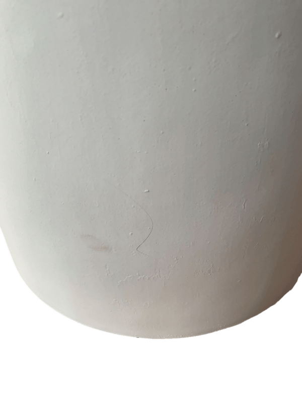 Second Chance: White Barrell Pot FREE assorted plant - Pots - POT - SECO - 5266 - Tumbleweed Plants - Online Plant Delivery Singapore