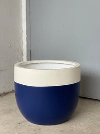 Second Chance: White / Blue Resin Pot FREE assorted plant - Pots - POT - SECO - 6334 - Tumbleweed Plants - Online Plant Delivery Singapore