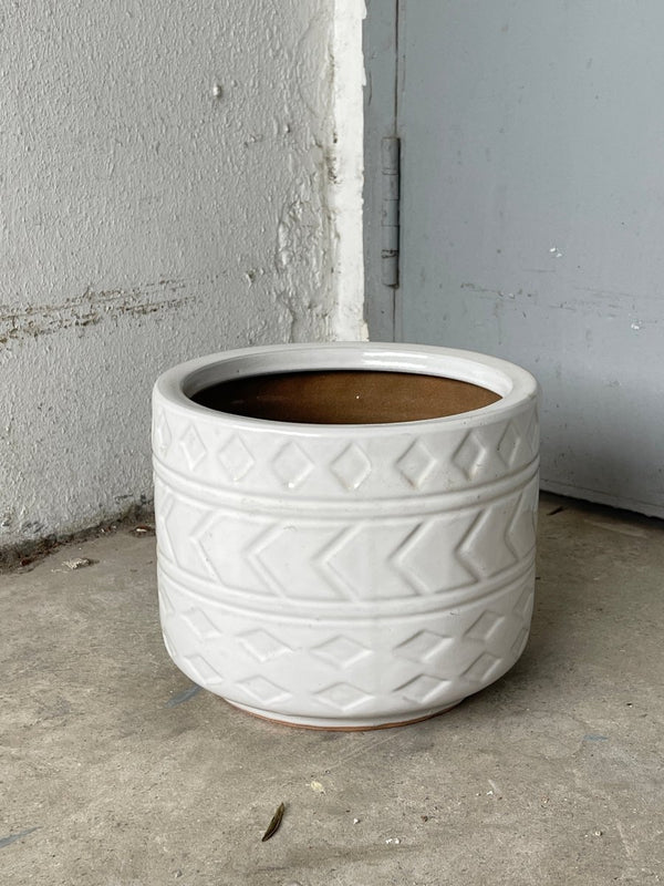 Second Chance: White Ceramic Pot FREE assorted plant - Home Decor - TOOL - SECO - CM - 6306 - Tumbleweed Plants - Online Plant Delivery Singapore