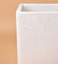 SECOND CHANCE: XL Terrazzo Cube with free assorted plant - Pots - POT - LARG - 2586 - 2nd - Tumbleweed Plants - Online Plant Delivery Singapore