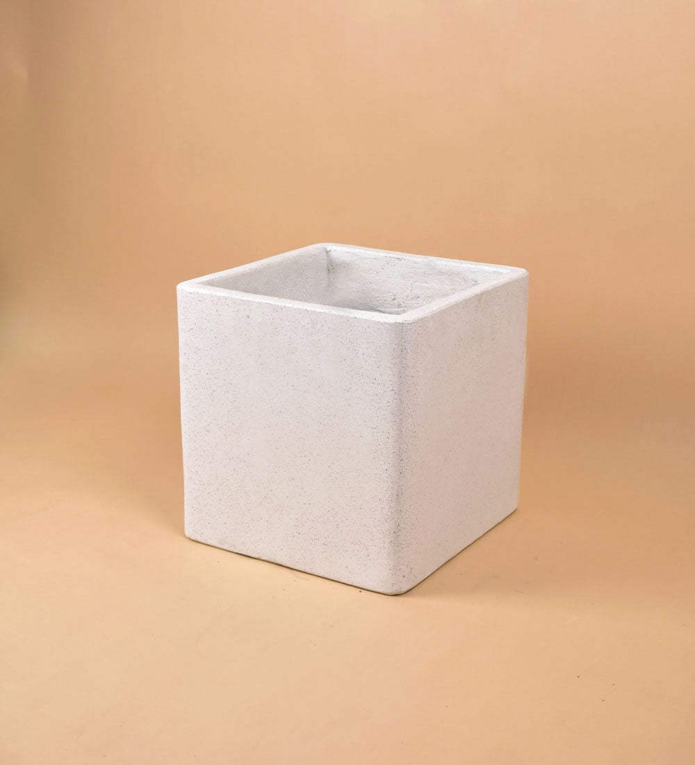 SECOND CHANCE: XL Terrazzo Cube with free assorted plant - Pots - POT - LARG - 2586 - 2nd - Tumbleweed Plants - Online Plant Delivery Singapore