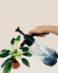 Sheen Garden Pump Spray Bottle - Tumbleweed Plants - Online Plant Delivery Singapore