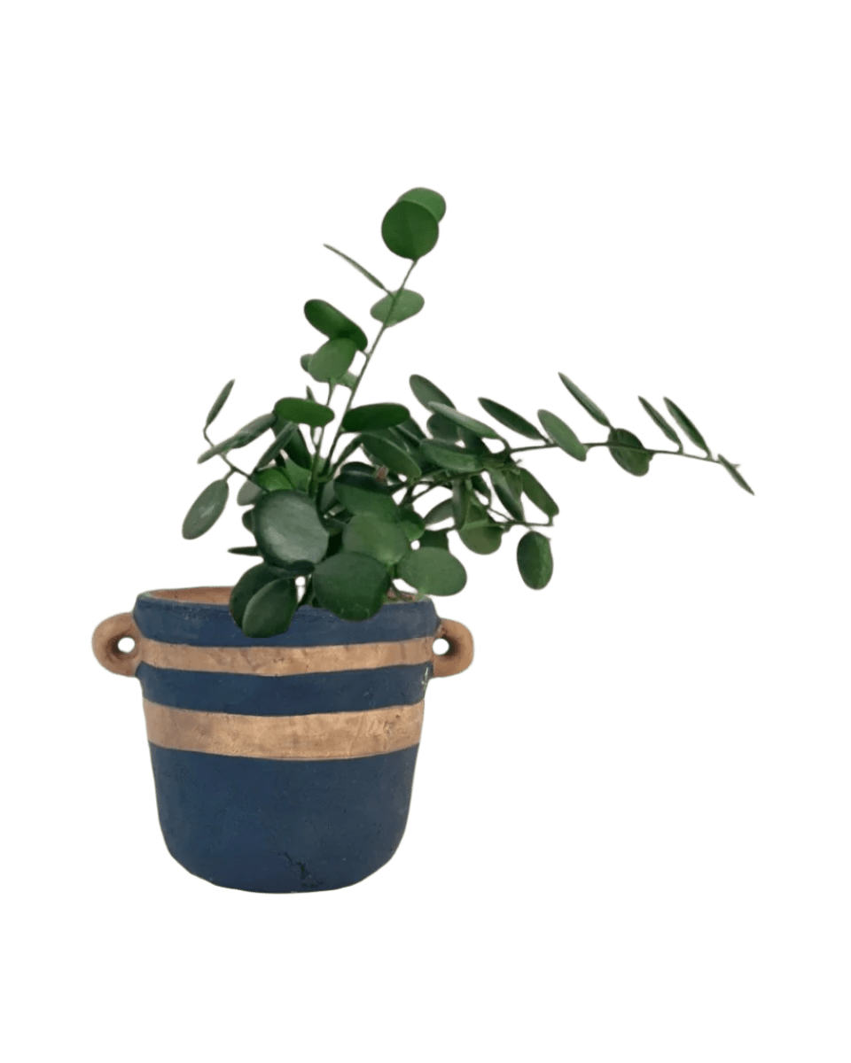 portafino planter  - black