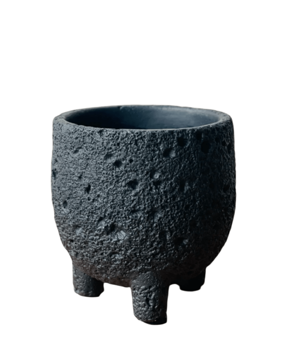 Small Anya Cement Pot - Pots - POTS - SMAL - 6490 - Tumbleweed Plants - Online Plant Delivery Singapore