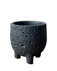 Small Anya Cement Pot - Pots - POTS - SMAL - 6490 - Tumbleweed Plants - Online Plant Delivery Singapore