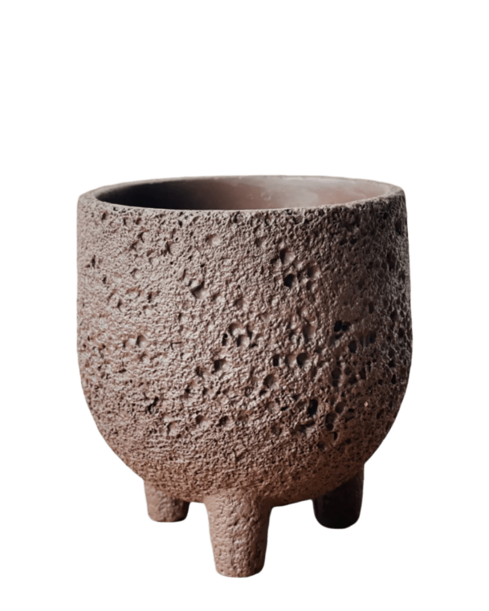 Small Anya Cement Pot - Pots - POTS - SMAL - 6491 - Tumbleweed Plants - Online Plant Delivery Singapore