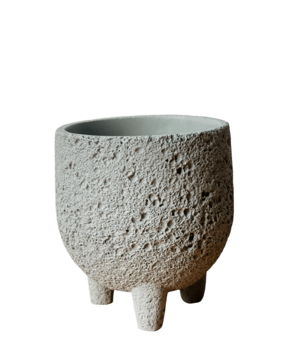 Small Anya Cement Pot - Pots - POTS - SMAL - 6488 - Tumbleweed Plants - Online Plant Delivery Singapore