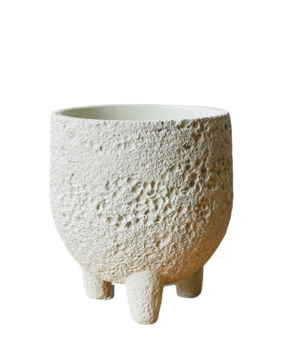 Small Anya Cement Pot - Pots - POTS - SMAL - 6493 - Tumbleweed Plants - Online Plant Delivery Singapore