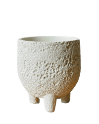 Small Anya Cement Pot - Pots - POTS - SMAL - 6493 - Tumbleweed Plants - Online Plant Delivery Singapore