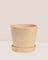 Small Celine Terracotta Pot