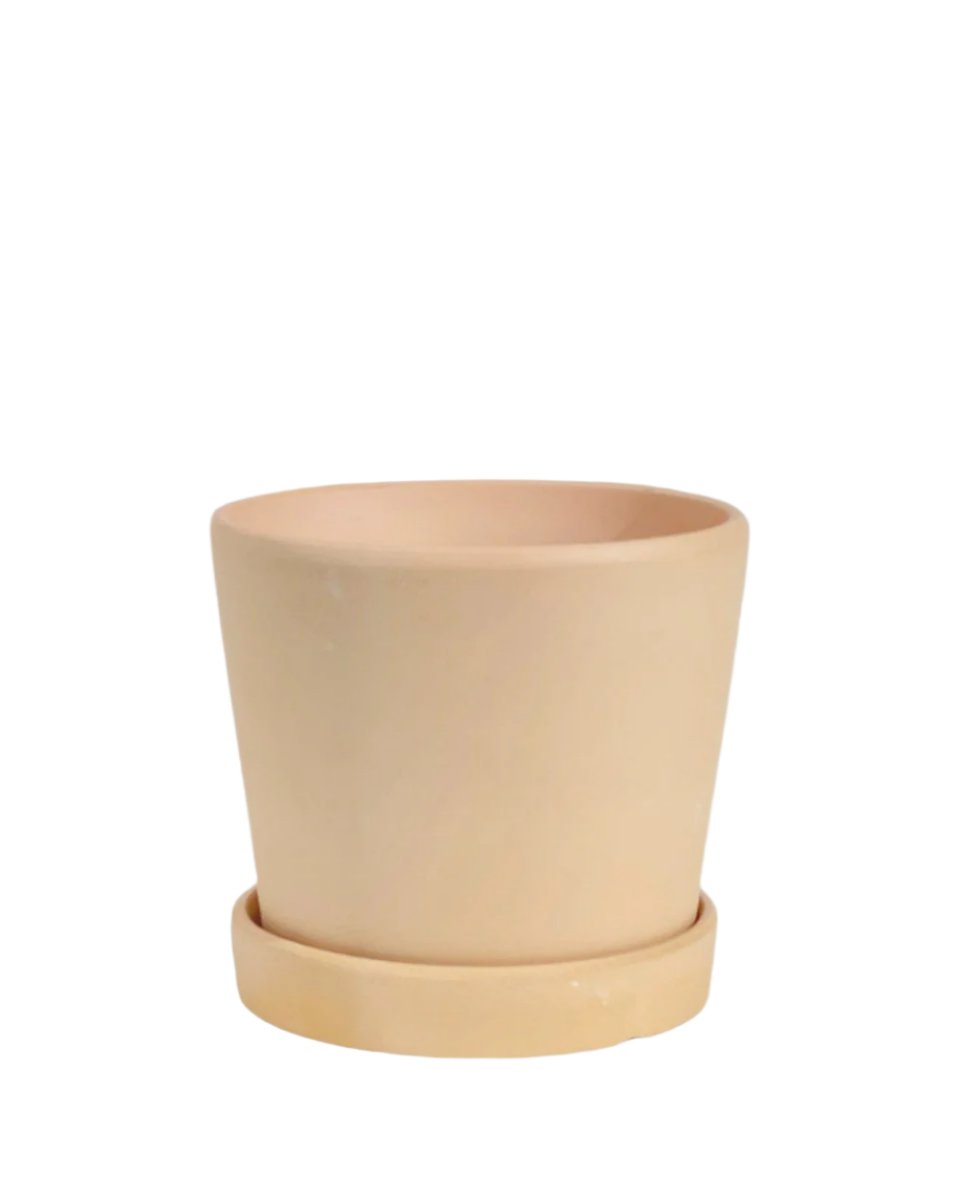 Small Celine Terracotta Pot - 14cm - Pots - Tumbleweed Plants - Online Plant Delivery Singapore