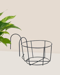 Small Hanging Rack - Pot - Tumbleweed Plants - Online Plant Delivery Singapore