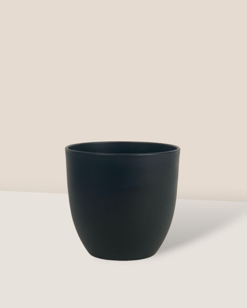 Small Luxe Plastic Pot - Black - Pot - Tumbleweed Plants - Online Plant Delivery Singapore