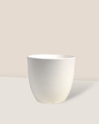 Small Luxe Plastic Pot - White - Pot - Tumbleweed Plants - Online Plant Delivery Singapore