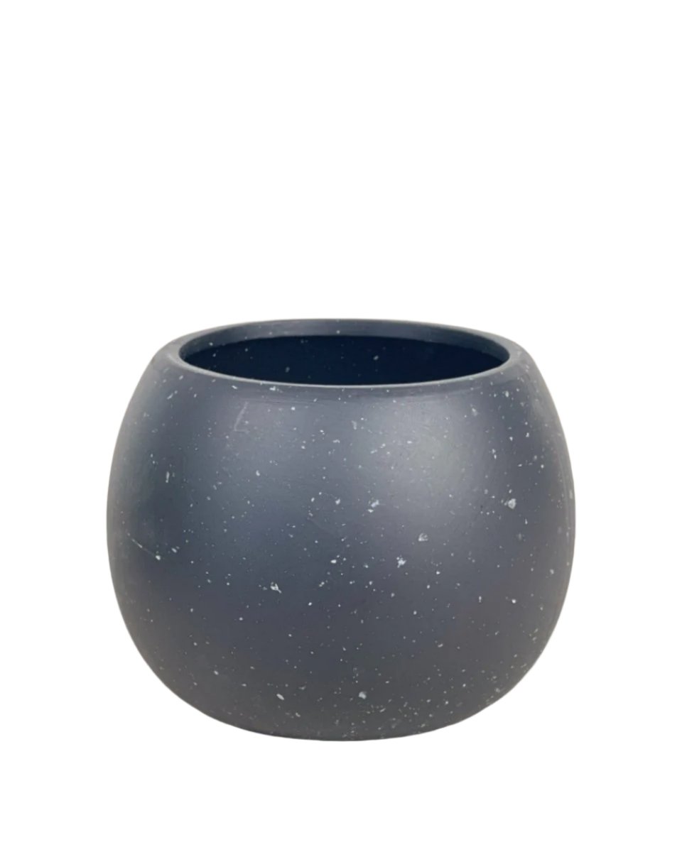 Small Nala Planter - black (no tray) - Pots - Tumbleweed Plants - Online Plant Delivery Singapore