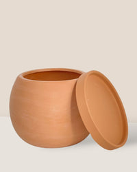 Small Nala Planter - brown - Pot - Tumbleweed Plants - Online Plant Delivery Singapore