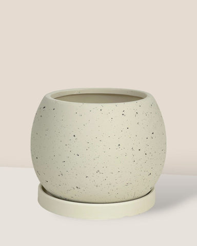 Nala Planter - Small - cream