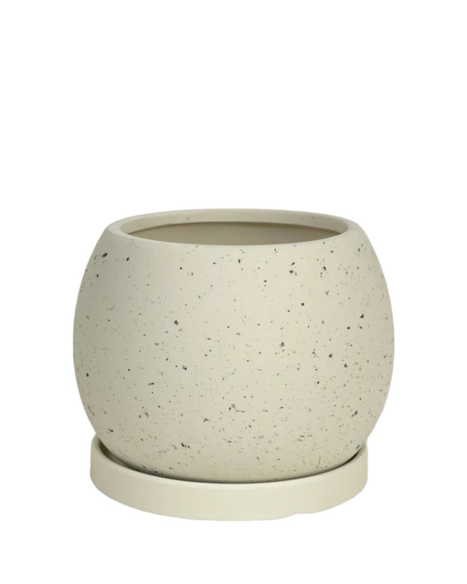 Small Nala Planter - white - Pots - Tumbleweed Plants - Online Plant Delivery Singapore