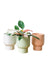 Nicole Ceramic Pot - Small