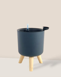 Small Self Watering Pot with Stand - black - Pot - Tumbleweed Plants - Online Plant Delivery Singapore