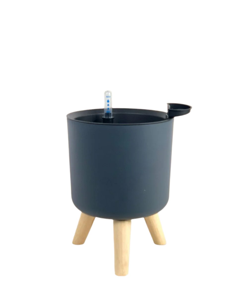 Small Self Watering Pot with Stand - black - Pots - Tumbleweed Plants - Online Plant Delivery Singapore