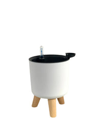 Small Self Watering Pot with Stand - white - Pots - Tumbleweed Plants - Online Plant Delivery Singapore