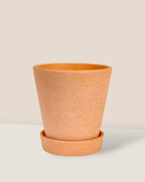 Terracotta Pot with Tray - Small