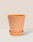 Small Terracotta Pot with Tray