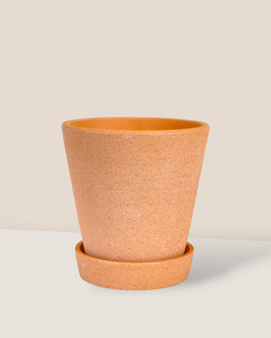 Small Terracotta Pot with Tray - Default Title