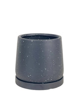 Tulip Terracotta with Tray - Small