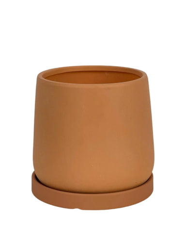 Tulip Terracotta with Tray - Small - brown terracotta