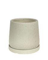 Tulip Terracotta with Tray - Small