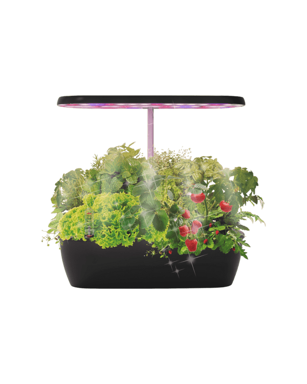 SmartGarden Classic - Indoor Hydroponics Garden - 4977448363540 - 01 - Tumbleweed Plants - Online Plant Delivery Singapore