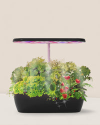 SmartGarden Classic - Indoor Hydroponics Garden - 4977448363540 - 01 - Tumbleweed Plants - Online Plant Delivery Singapore