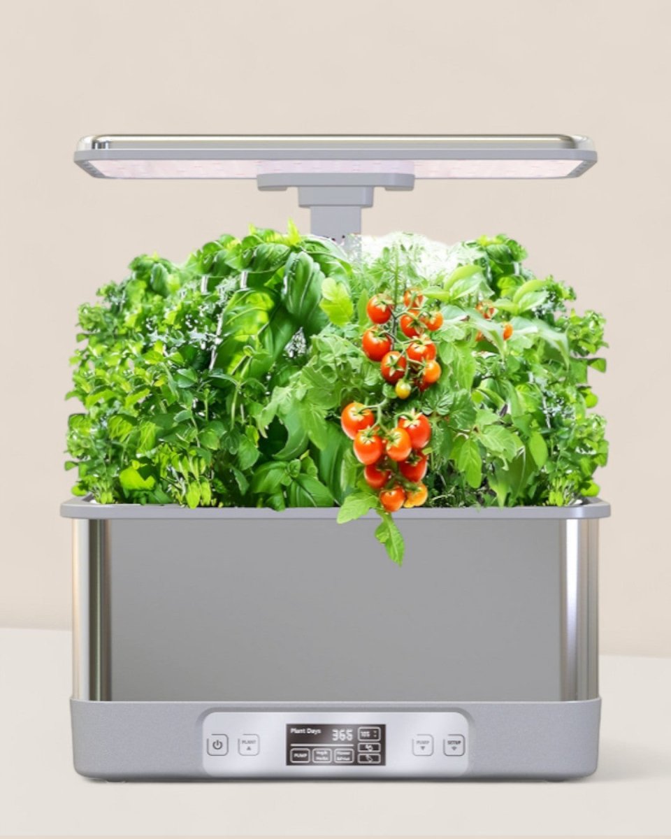 SmartGarden Plus - Indoor Hydroponics Garden - 5516002497714 - 01 - Tumbleweed Plants - Online Plant Delivery Singapore