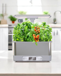 SmartGarden Plus - Indoor Hydroponics Garden - 5516002497714 - 01 - Tumbleweed Plants - Online Plant Delivery Singapore