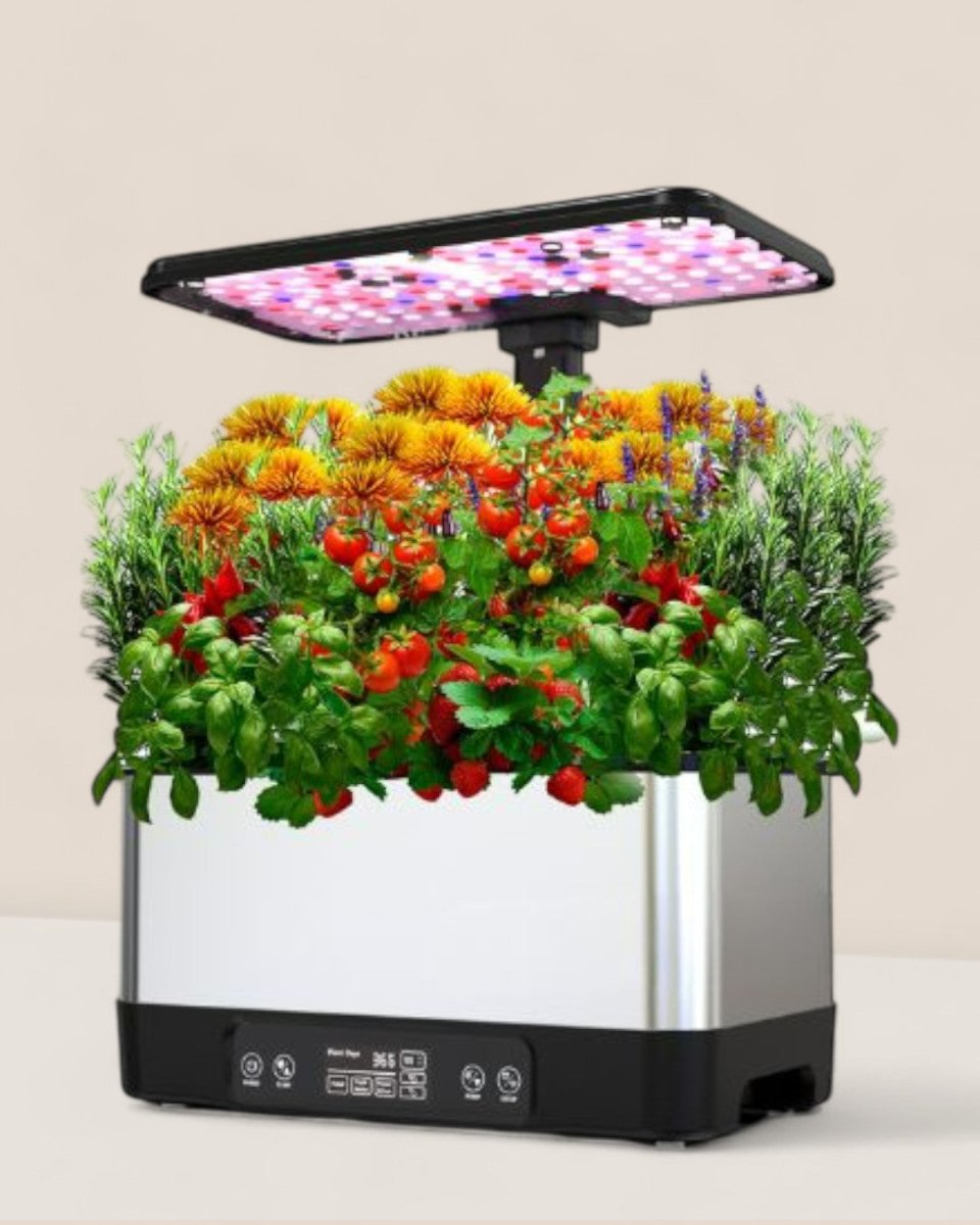 SmartGarden Plus - Indoor Hydroponics Garden - 5516002497714 - 01 - Tumbleweed Plants - Online Plant Delivery Singapore