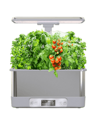 SmartGarden Plus - Indoor Hydroponics Garden - 5516002497714 - 01 - Tumbleweed Plants - Online Plant Delivery Singapore