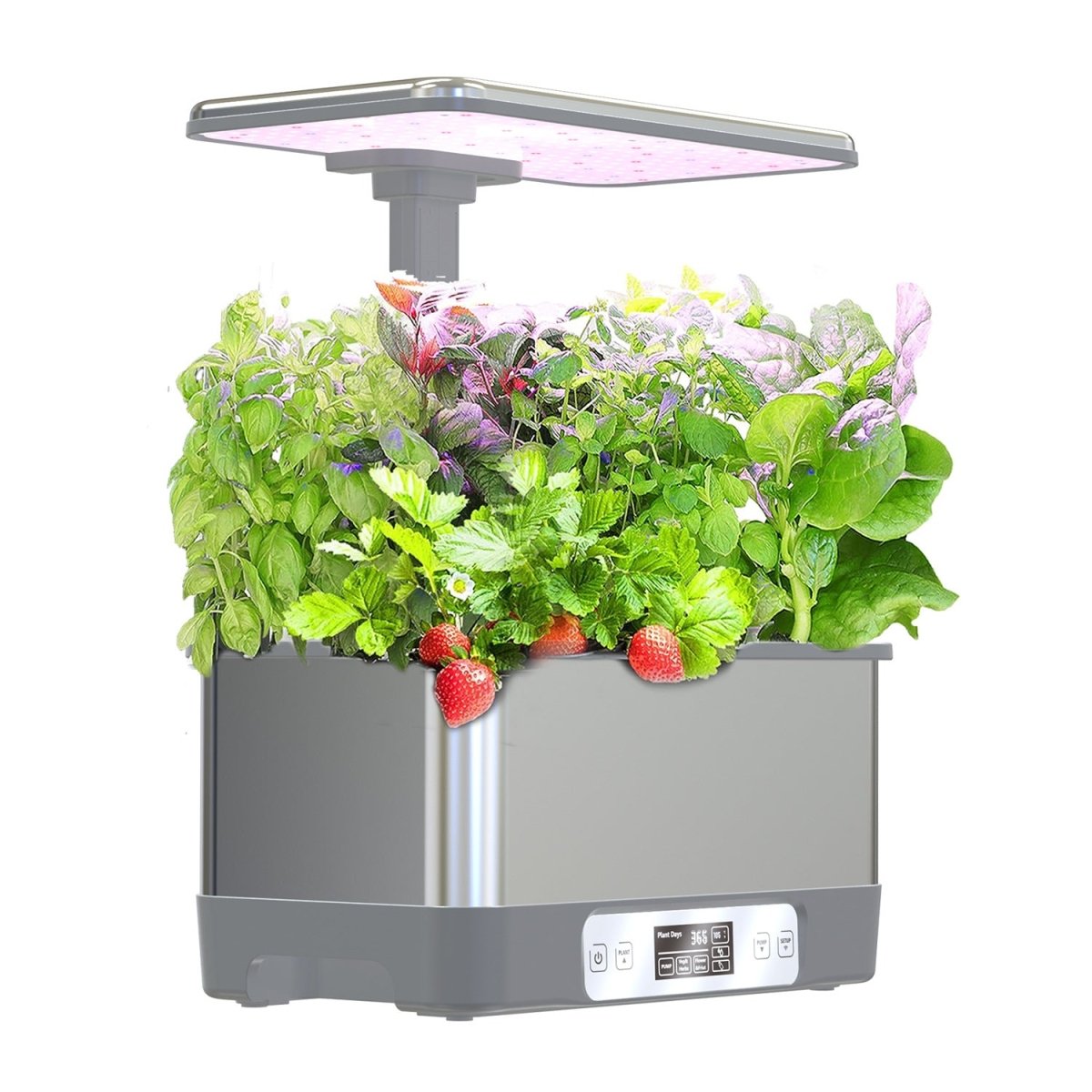 SmartGarden Plus - Indoor Hydroponics Garden - 5516002497713 - 01 - Tumbleweed Plants - Online Plant Delivery Singapore