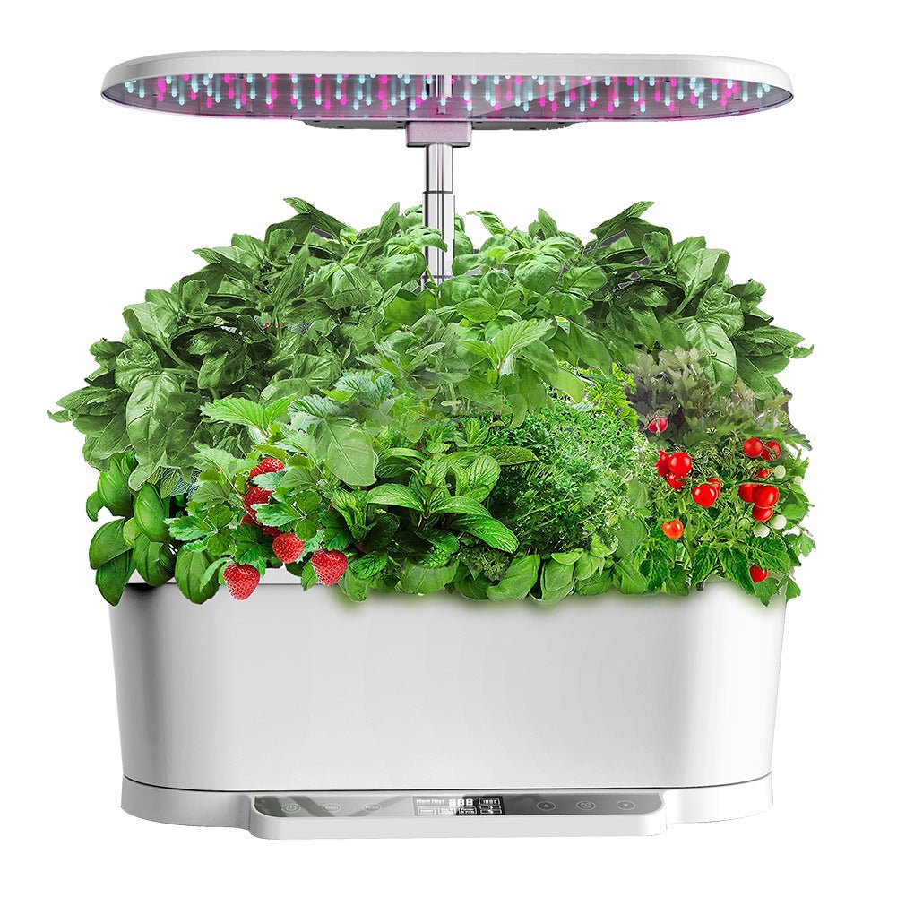 SmartGarden Pro - Indoor Hydroponics Garden - 4902498971907 - 01 - Tumbleweed Plants - Online Plant Delivery Singapore