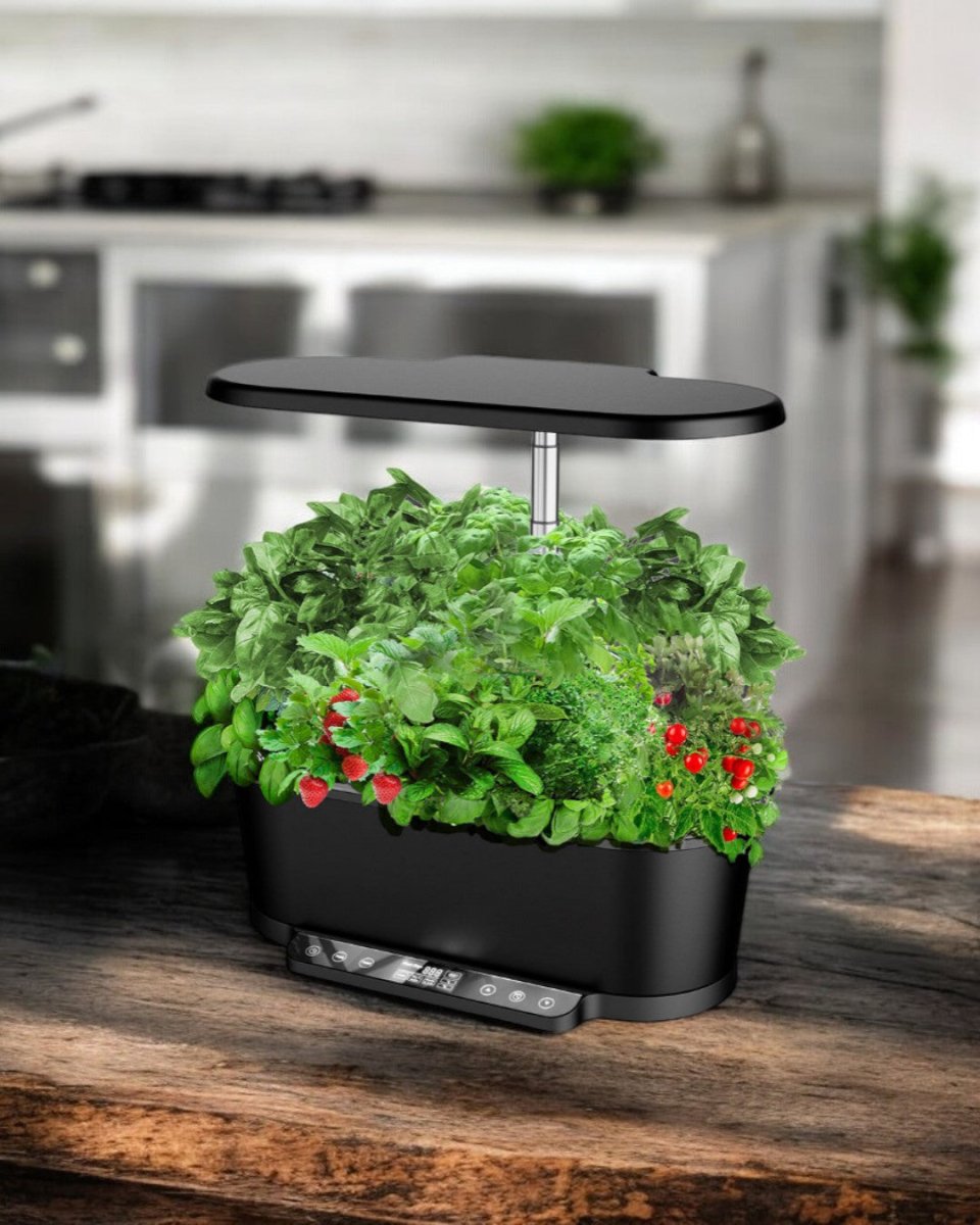 SmartGarden Pro - Indoor Hydroponics Garden - 4902498971907 - 01 - Tumbleweed Plants - Online Plant Delivery Singapore