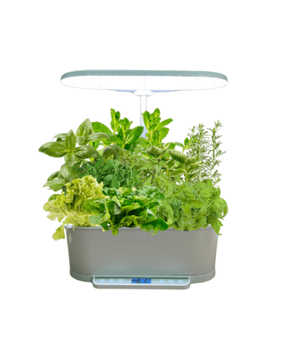 SmartGarden Pro - Indoor Hydroponics Garden - 4902498971907 - 01 - Tumbleweed Plants - Online Plant Delivery Singapore