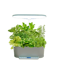 SmartGarden Pro - Indoor Hydroponics Garden - 4902498971907 - 01 - Tumbleweed Plants - Online Plant Delivery Singapore