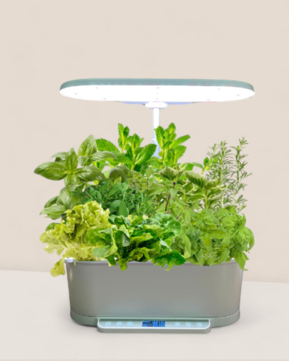 SmartGarden Pro - Indoor Hydroponics Garden - 4902498971907 - 01 - Tumbleweed Plants - Online Plant Delivery Singapore