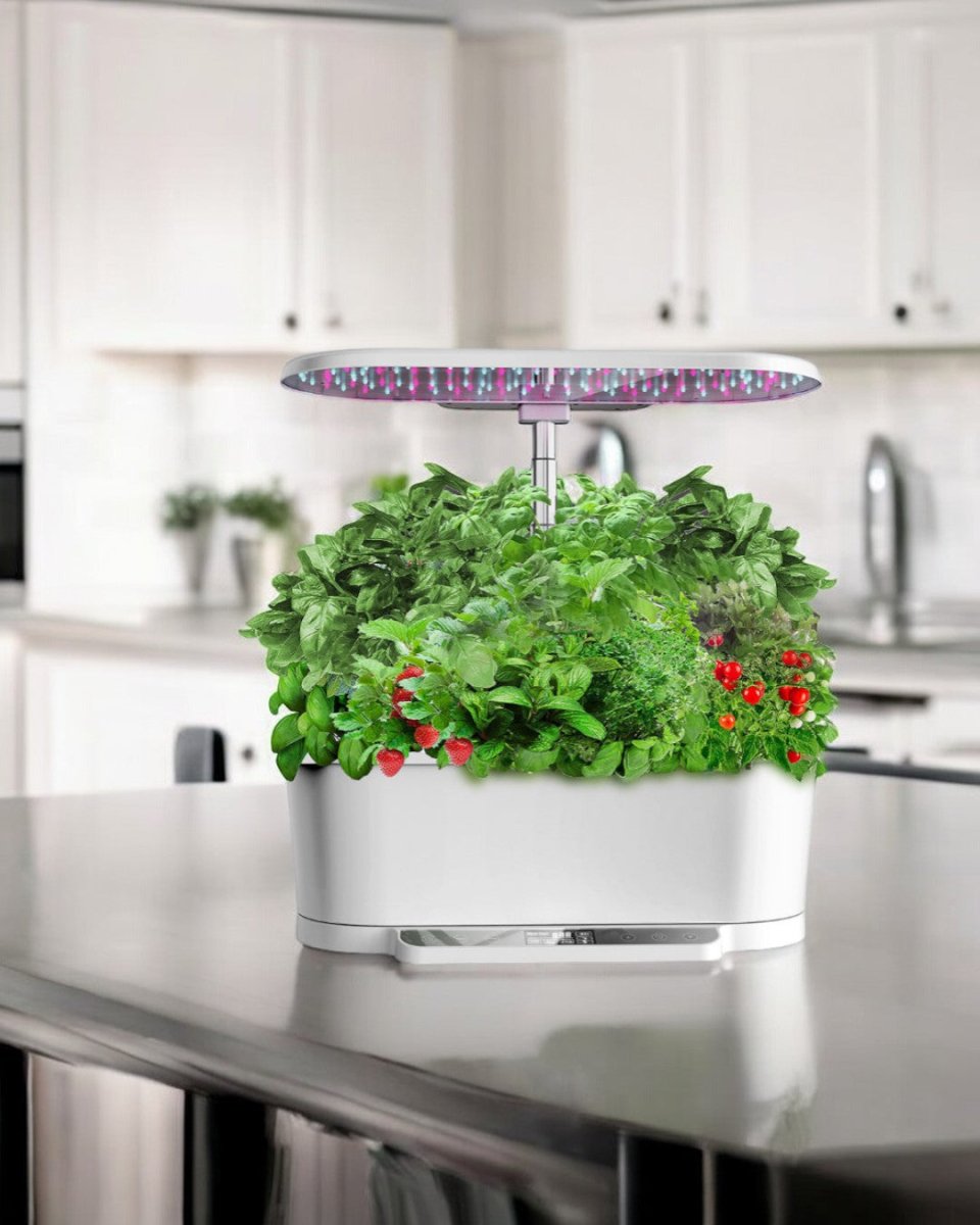 SmartGarden Pro - Indoor Hydroponics Garden - 4902498971907 - 01 - Tumbleweed Plants - Online Plant Delivery Singapore